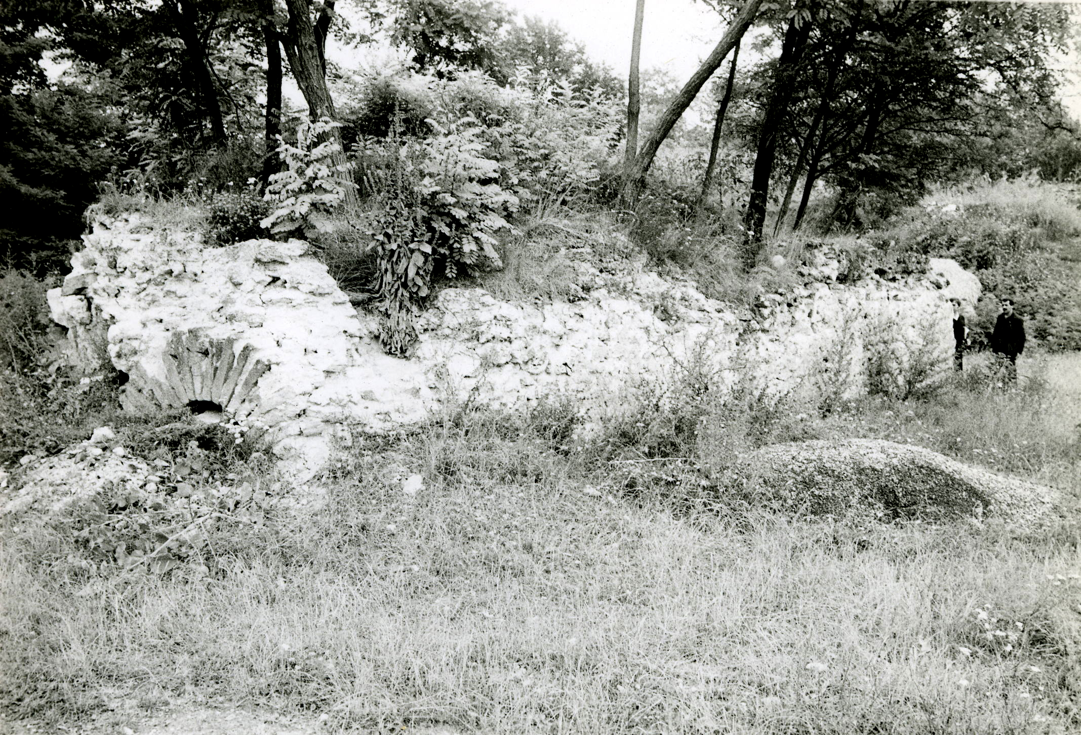 Arhivska fotografija očuvanog dela zida i zatravljenog profila terena na lokalitetu Kalište